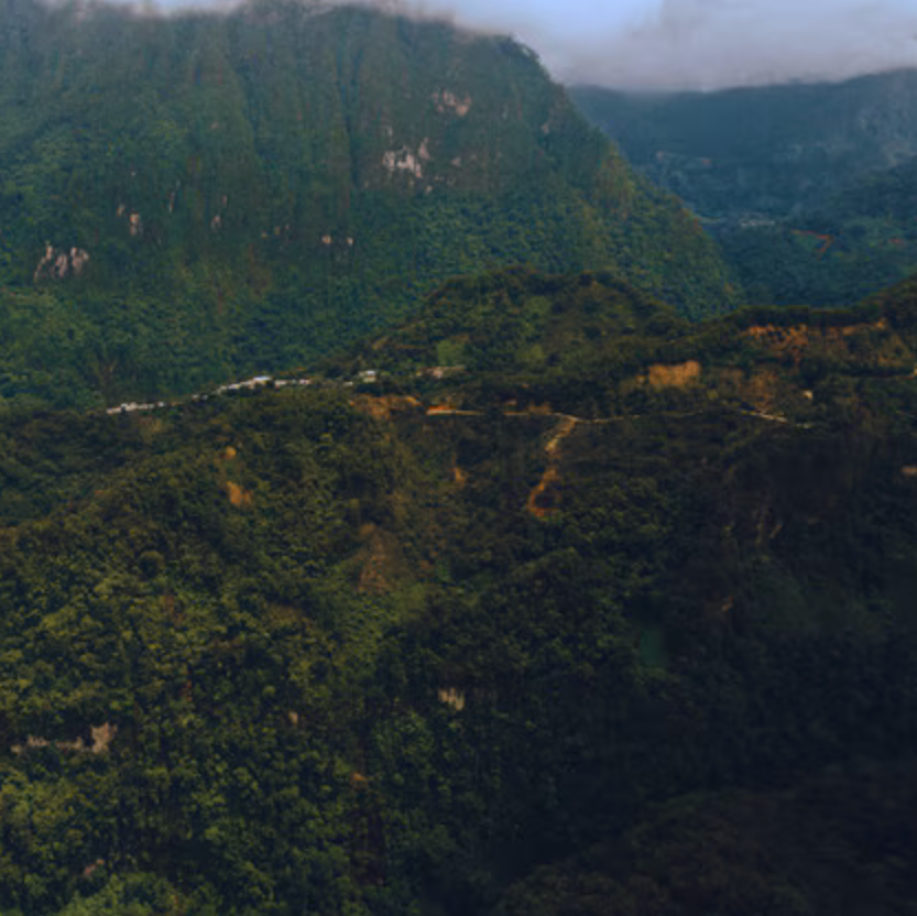 Mexico Chiapas Highlands (Organic)