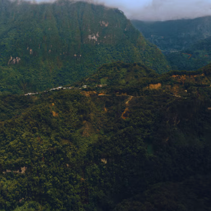 Mexico Chiapas Highlands (Organic)